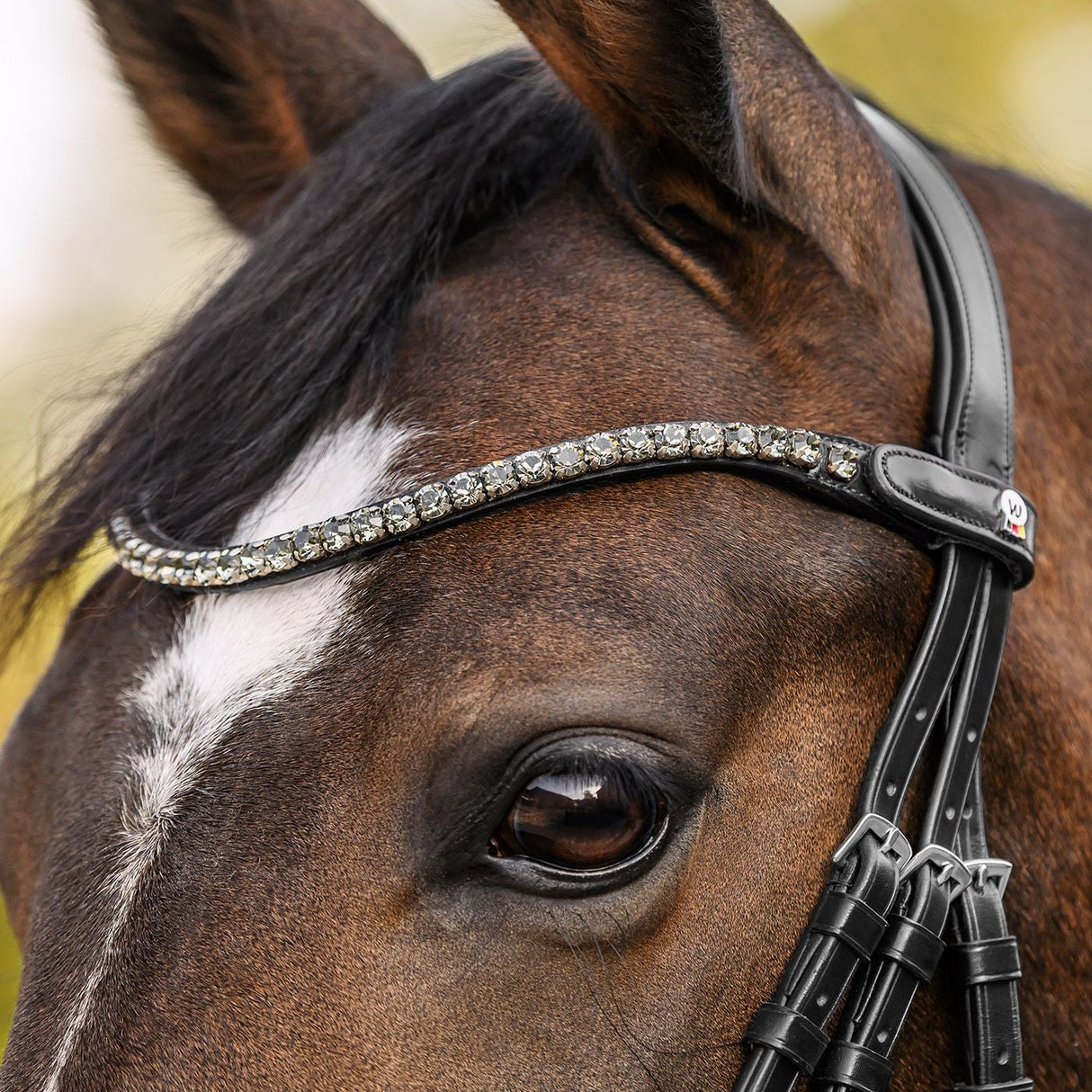 Waldhausen X-Line Shine Browband #colour_silver
