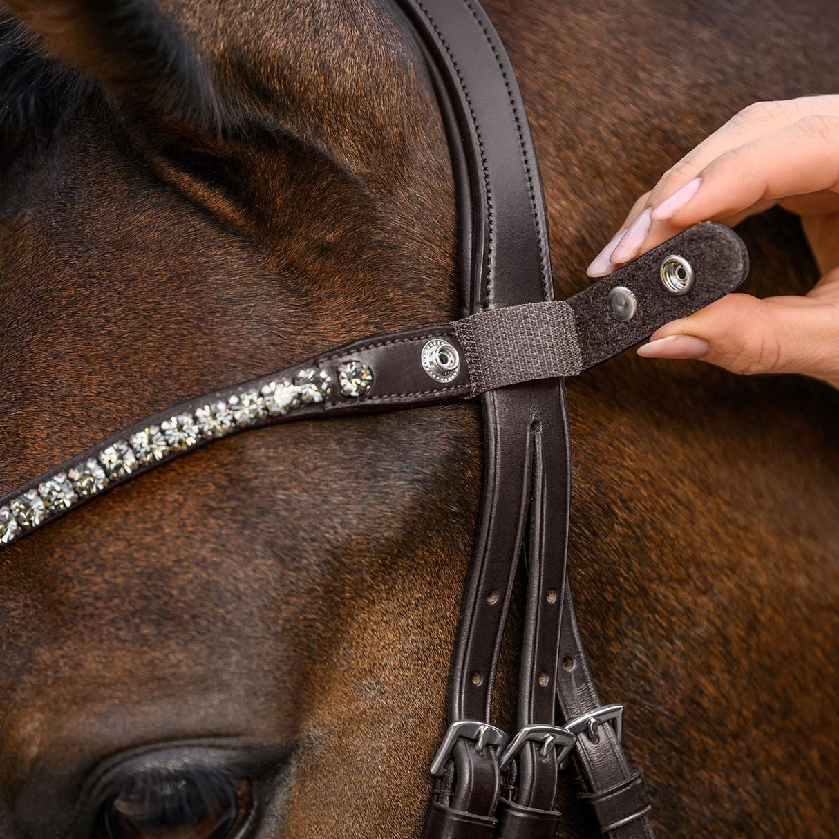 Waldhausen X-Line Shine Browband #colour_beige