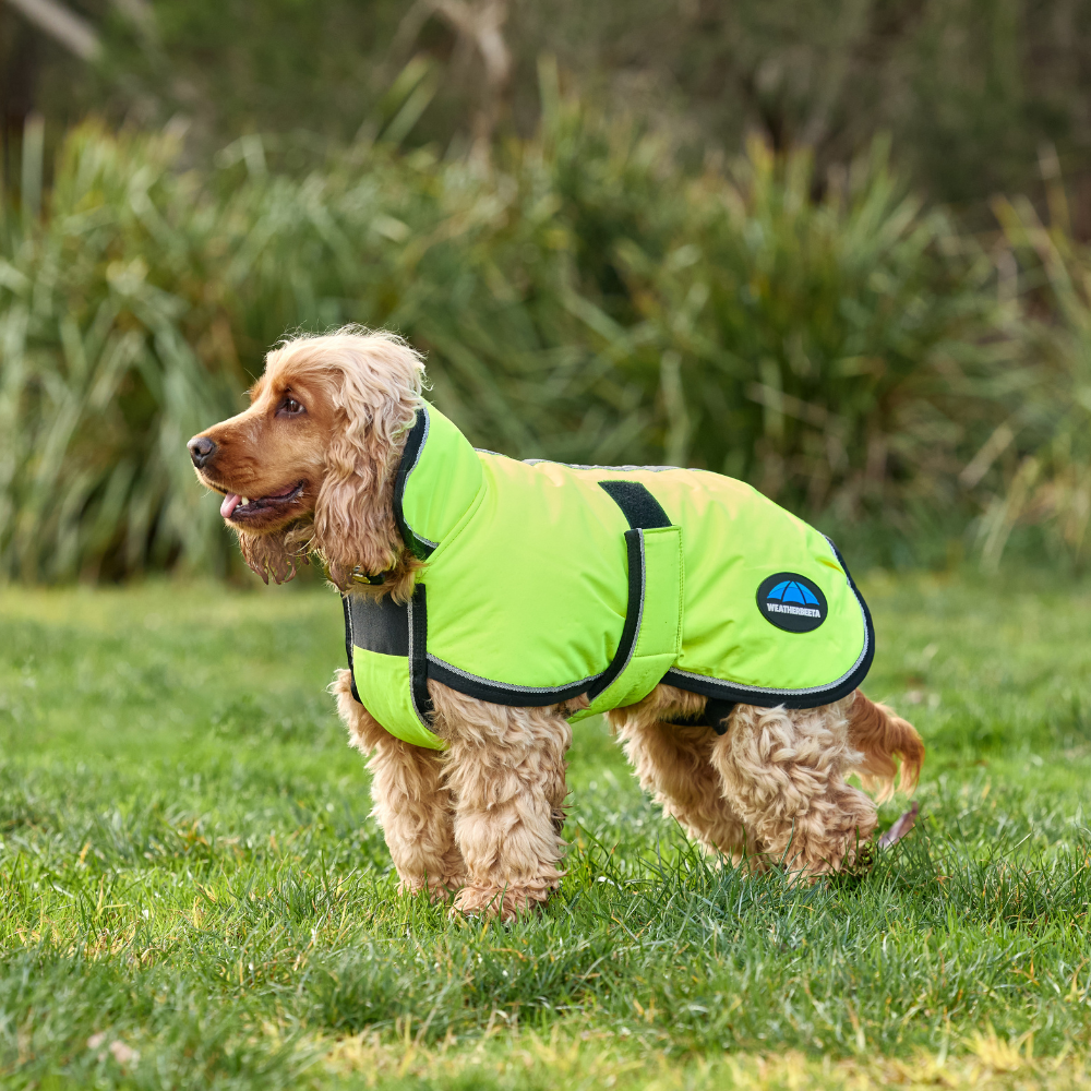 Weatherbeeta Comfitec Reflective 300D Deluxe Showerproof Dog Coat #colour_yellow
