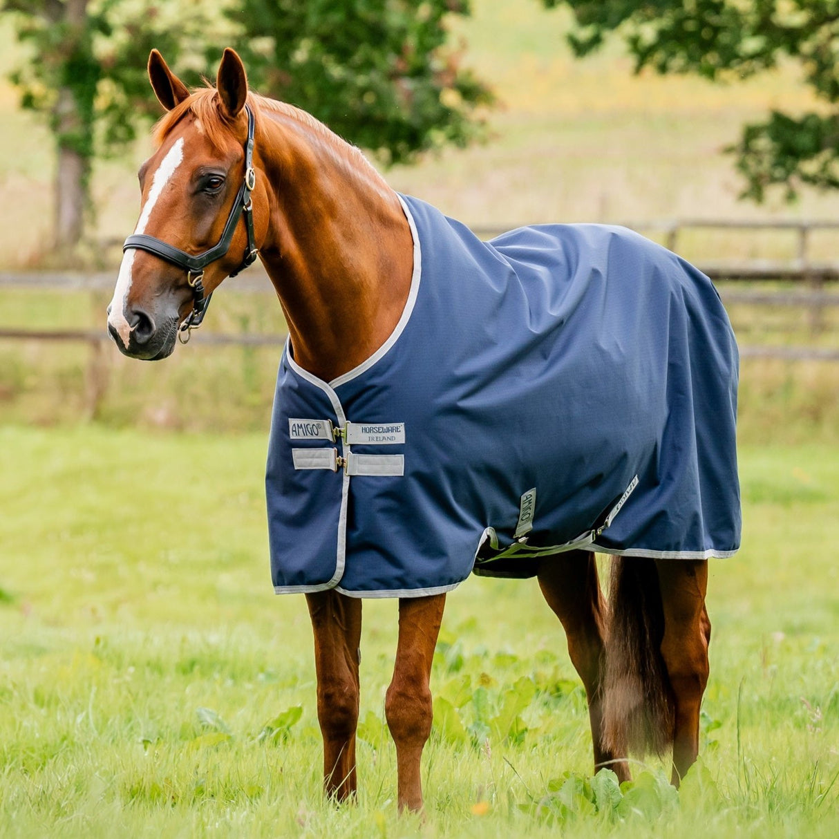 Horseware Ireland Amigo Ripstop 900 0g Turnout Rug #colour_navy-titanium-grey