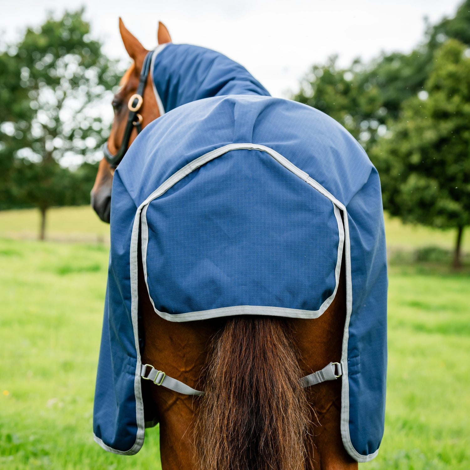 Horseware Ireland Amigo Ripstop 900 0g Turnout Rug #colour_navy-titanium-grey