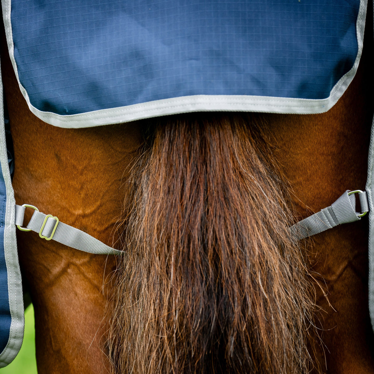 Horseware Ireland Amigo Ripstop 900 0g Turnout Rug #colour_navy-titanium-grey