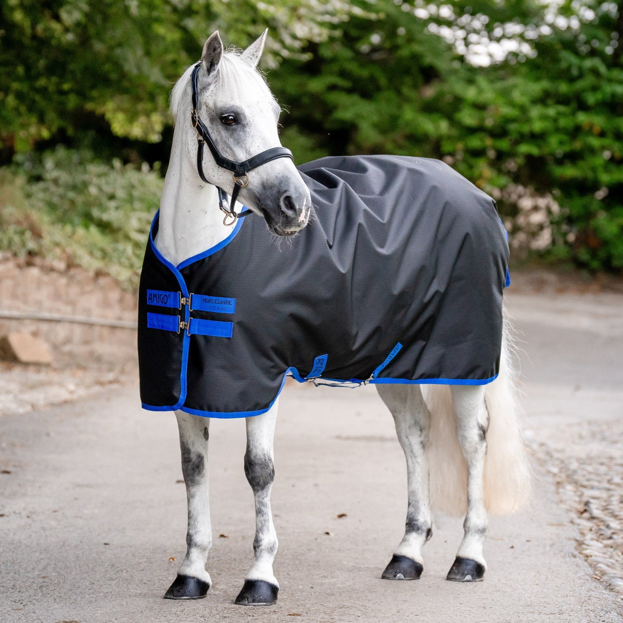 Horseware Ireland Amigo Ripstop 900 0g Turnout Rug #colour_black-classic-blue