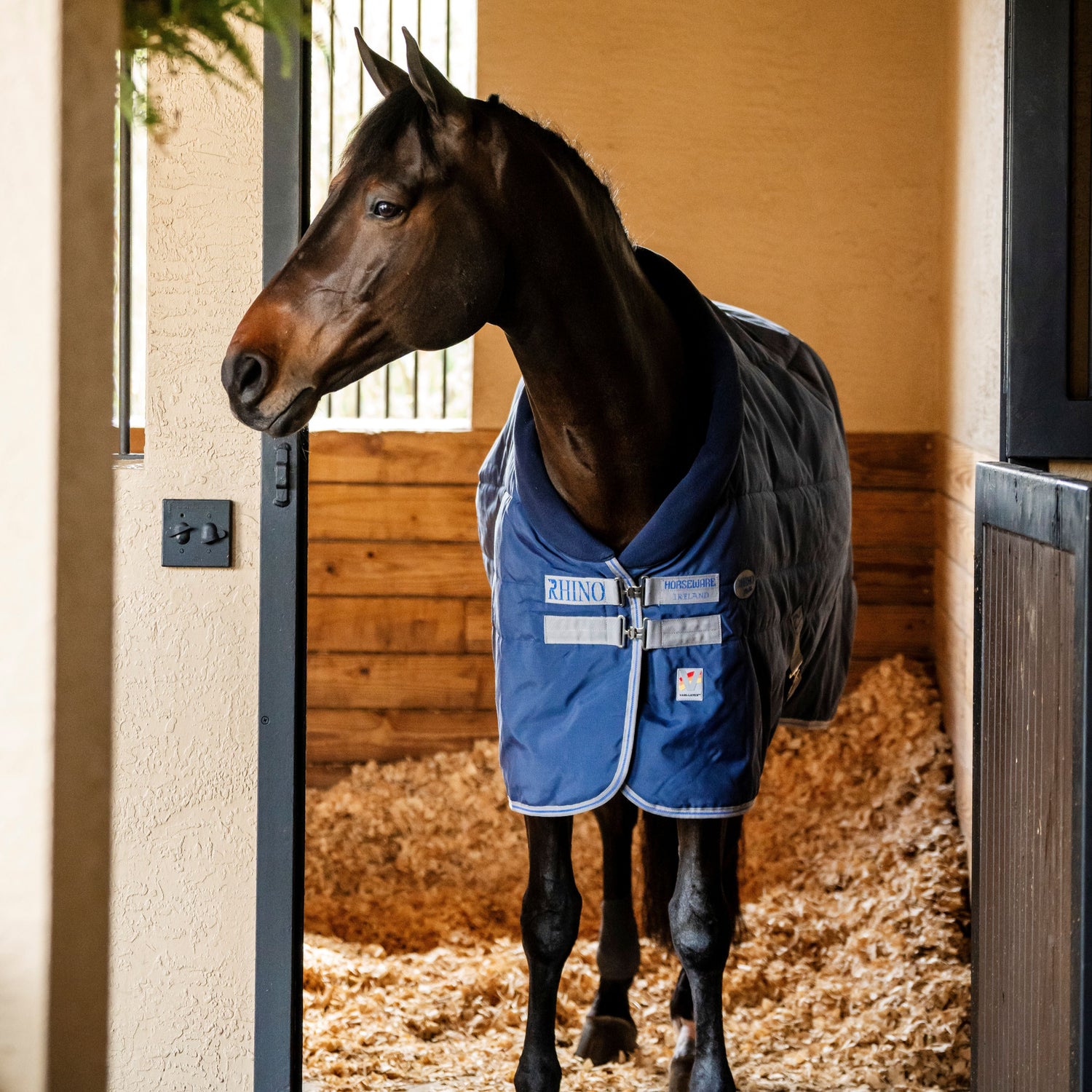 Horseware Ireland Rhino 350g Vari-Layer Stable Rug #colour_navy-titanium-grey-classic-blue
