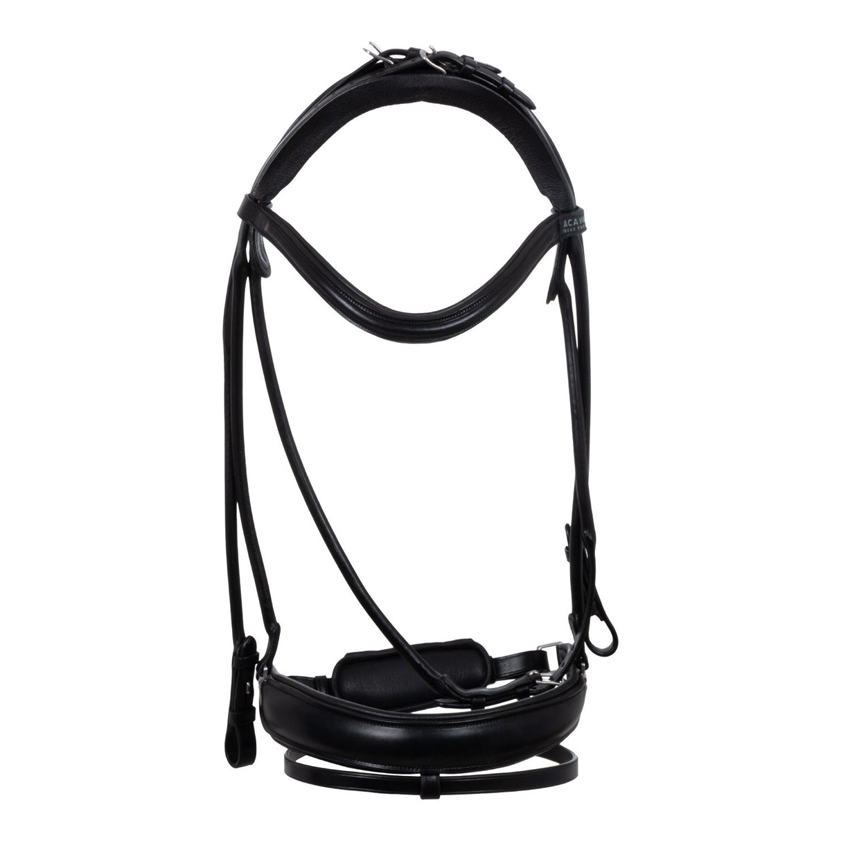 Fornarina bridle laminated calfskin