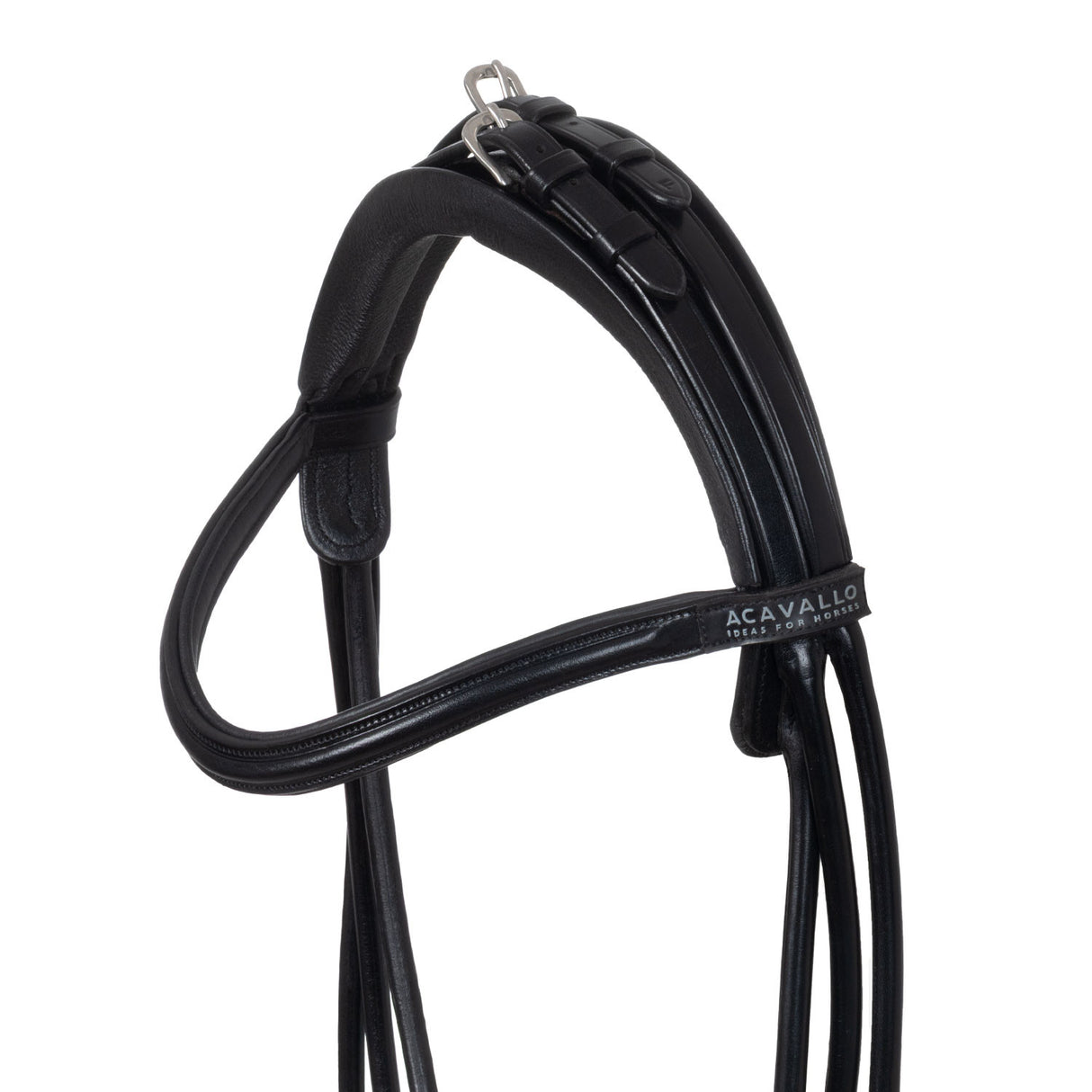Fornarina bridle laminated calfskin