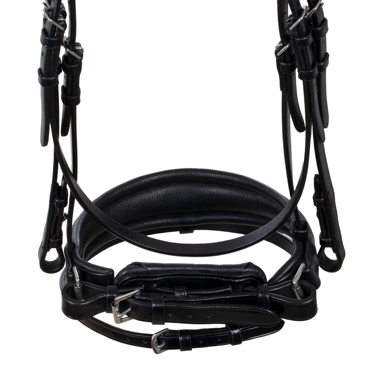 Acavallo Starry Night Calfskin Bridle #colour_black