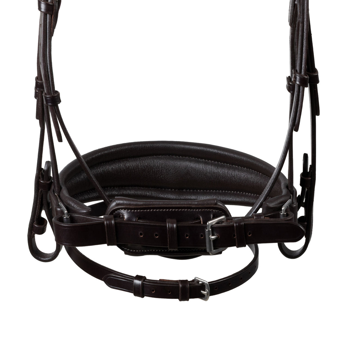 Acavallo Starry Night Calfskin Bridle #colour_brown