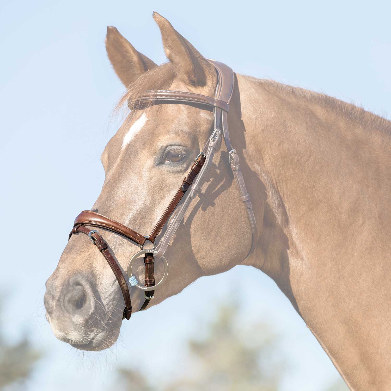 Acavallo Flash Noseband Quick Coupling #colour_brown