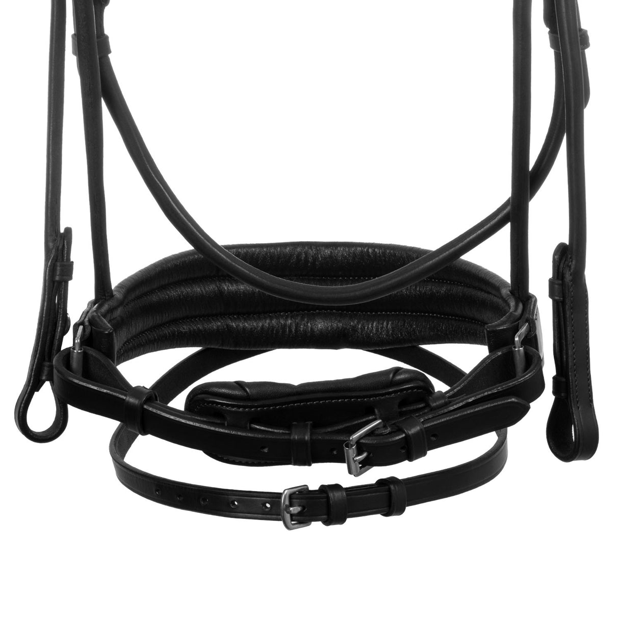 Damigella bridle calfskin