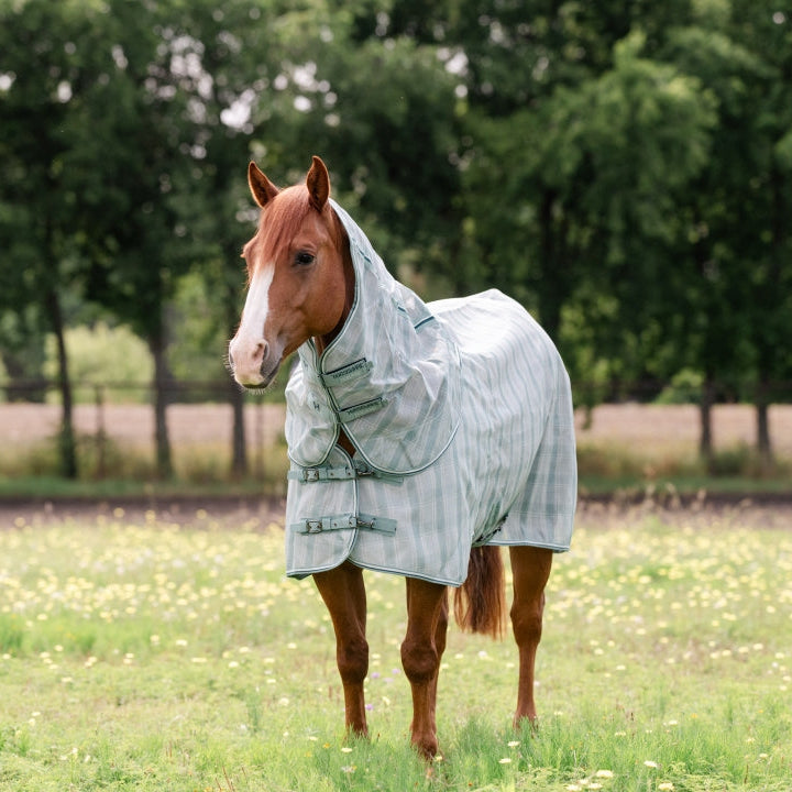 Horseware Ireland Newmarket Quarter Horse Plus Fly Sheet #colour_witney-dynstay