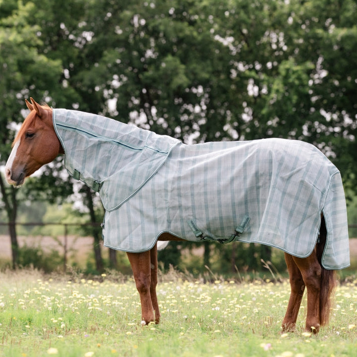 Horseware Ireland Newmarket Quarter Horse Plus Fly Sheet #colour_witney-dynstay