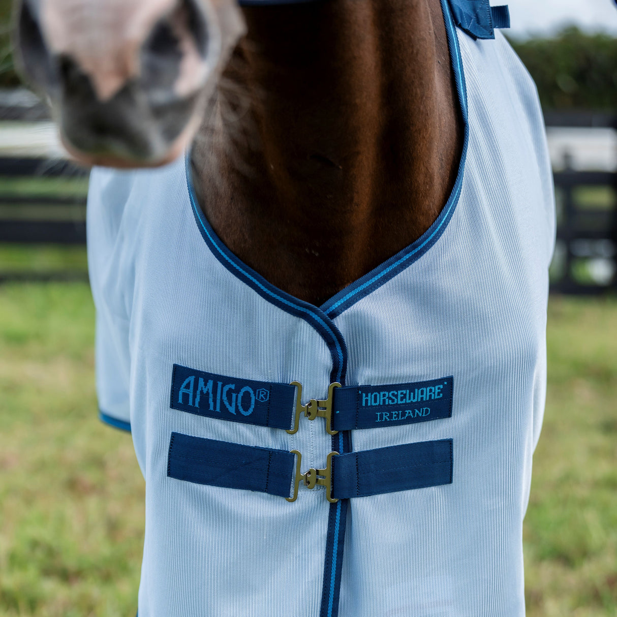 Horseware Ireland Amigo Bug Rug Plus #colour_azure-blue-navy-electric-blue