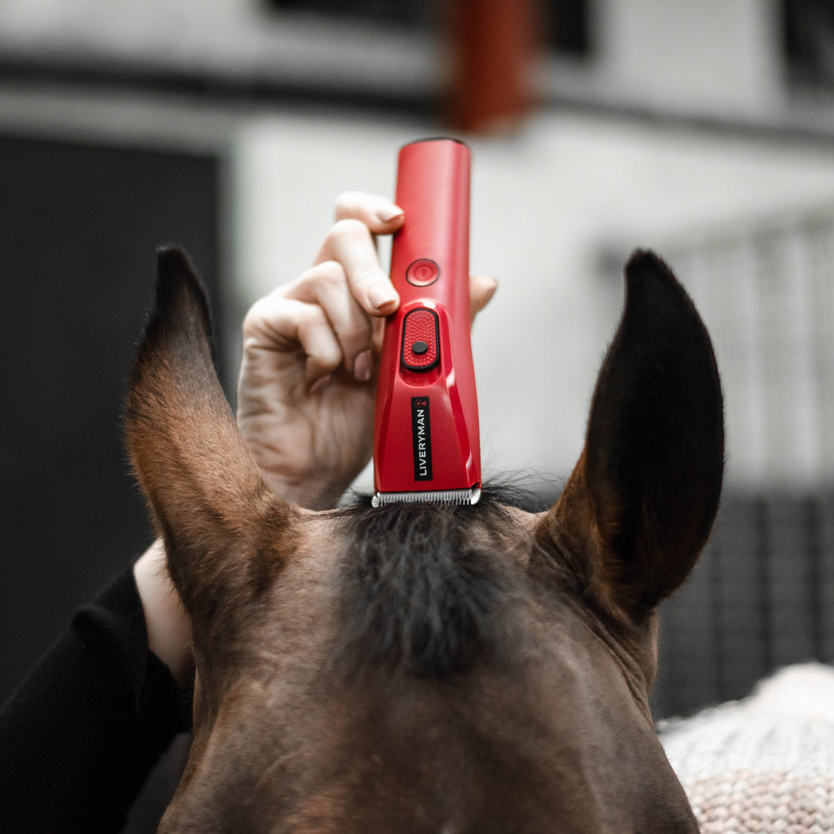 Liveryman Nova Trimmer