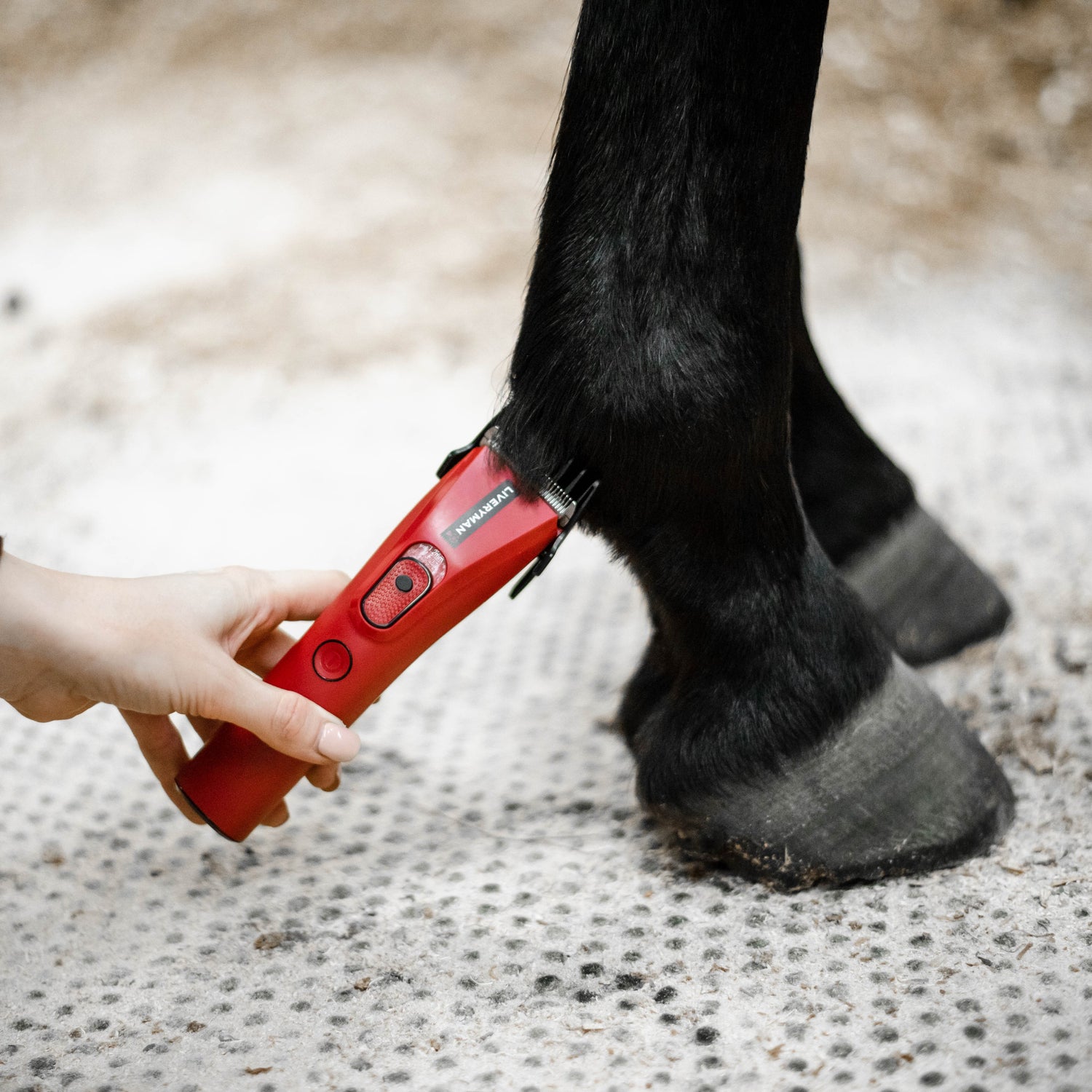 Liveryman Nova Trimmer