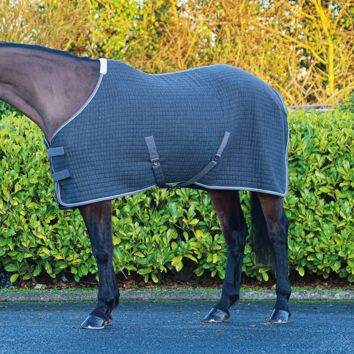 Mackey Aran Thermo Rug