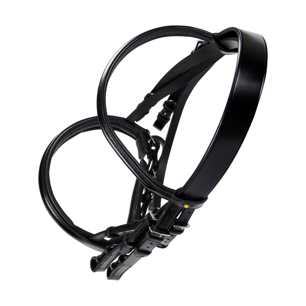 LEATHER DRESSAGE BRIDLE