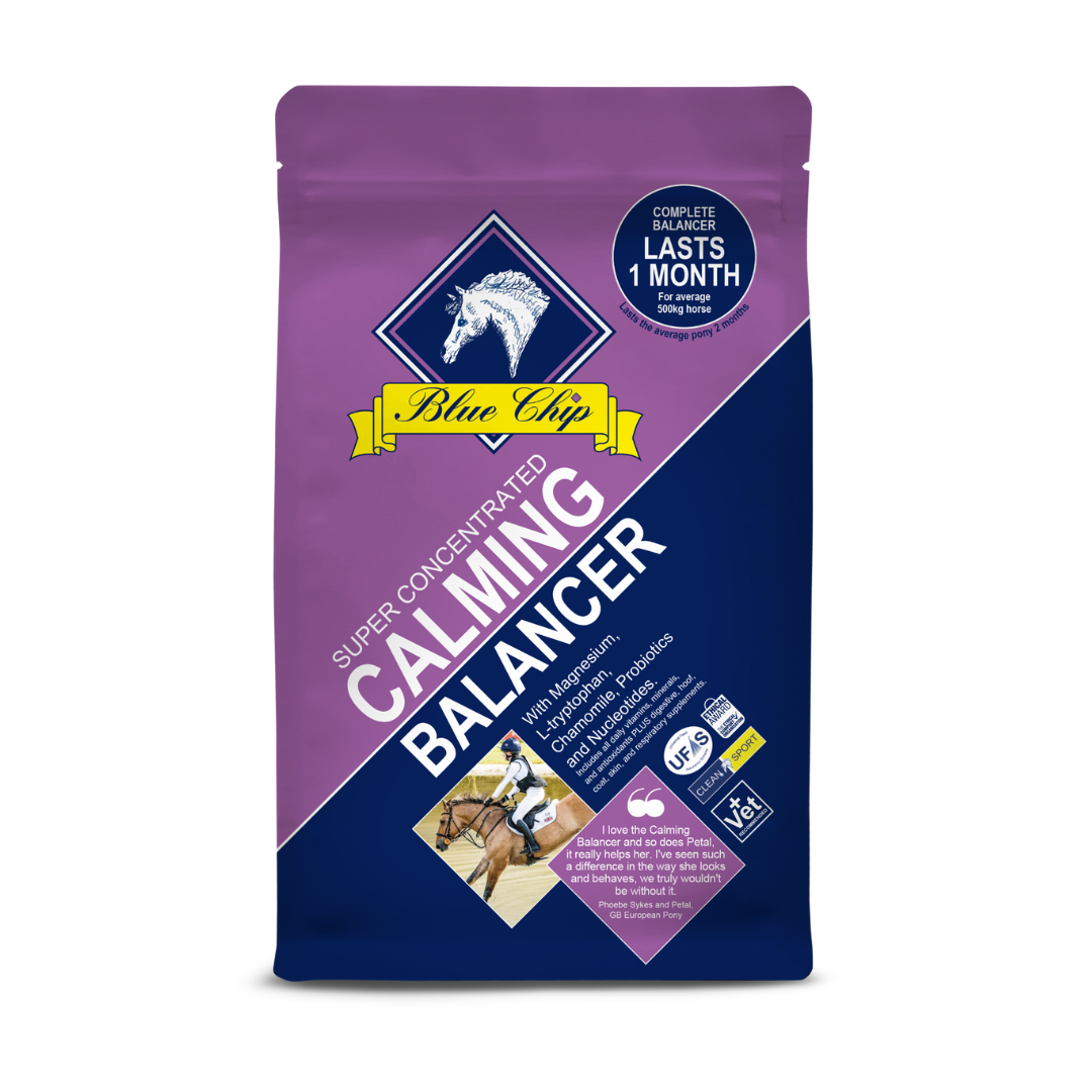 Blue Chip Super Concentrated Calming Balancer