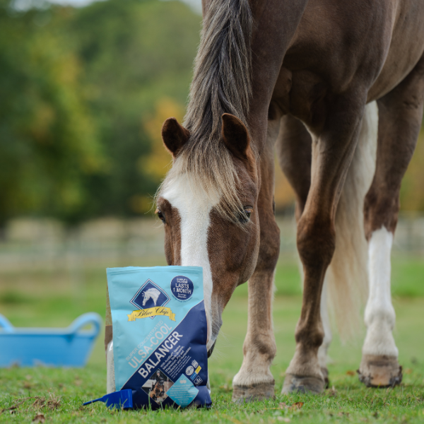 Blue Chip Super Concentrated Ulsa-Cool Balancer