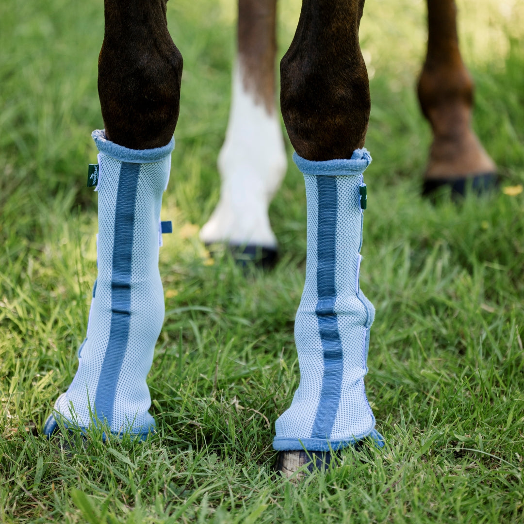 Horseware Ireland Fly Boots - Pack of 2 #colour_heather-blue-blue-silver