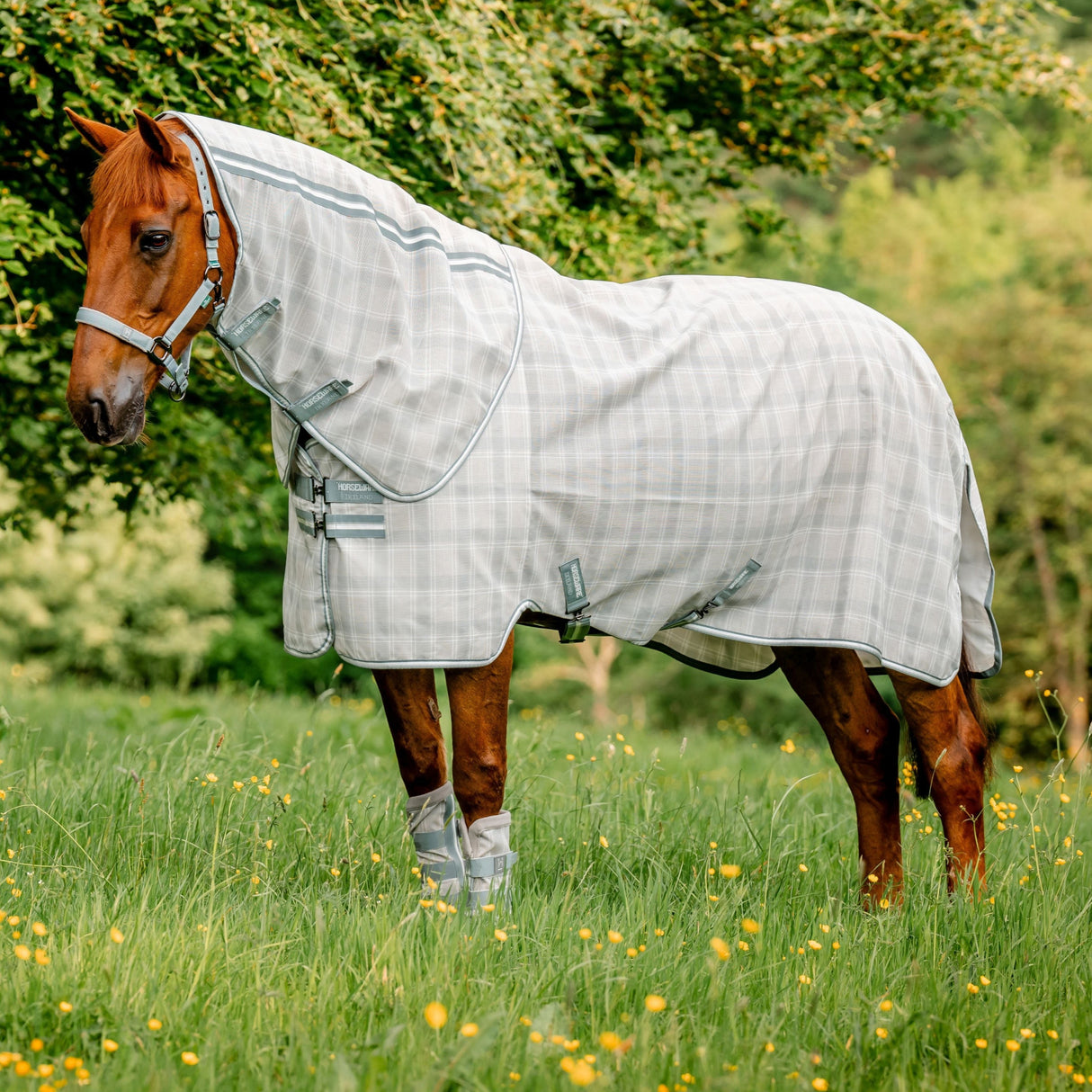 Horseware Ireland Newmarket Plus Fly Sheet #colour_witney-charcoal