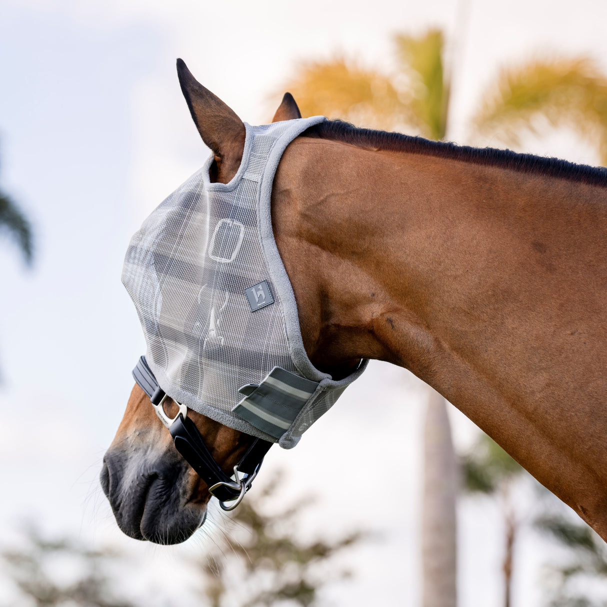 Horseware Ireland Newmarket No Ears Fly Mask #colour_witney-charcoal