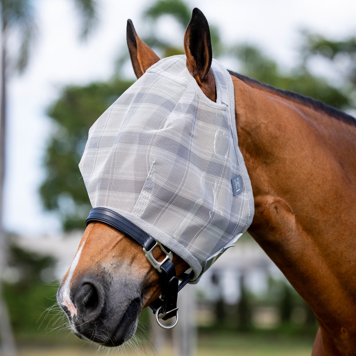 Horseware Ireland Newmarket No Ears Fly Mask #colour_witney-charcoal