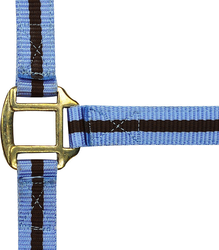 Norton Leather Lined Nylon Headcollar