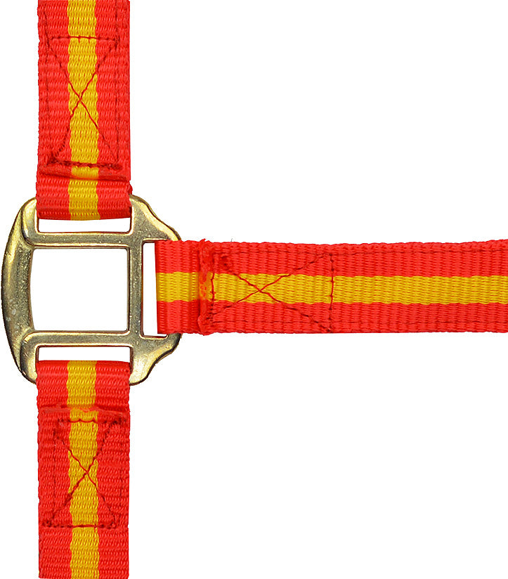 Norton Leather Lined Nylon Headcollar