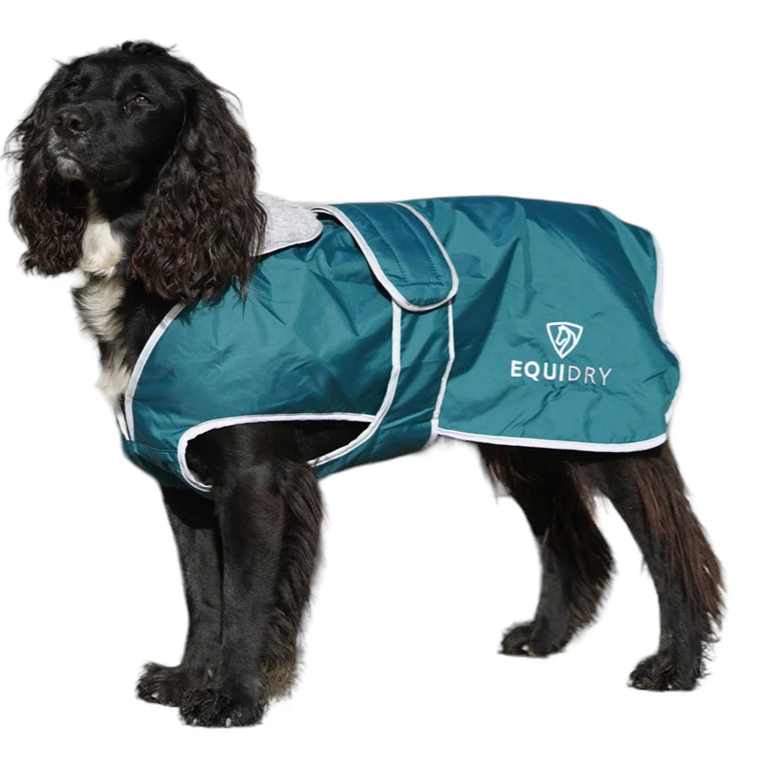 EQUIDRY Dog Coat #colour_teal-grey