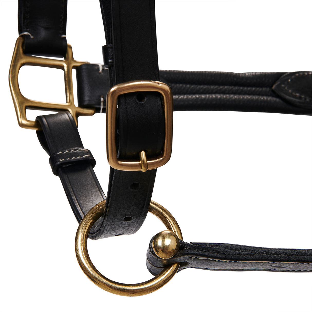 Equestro Soft Leather Halter With Durable Buckles #colour_black