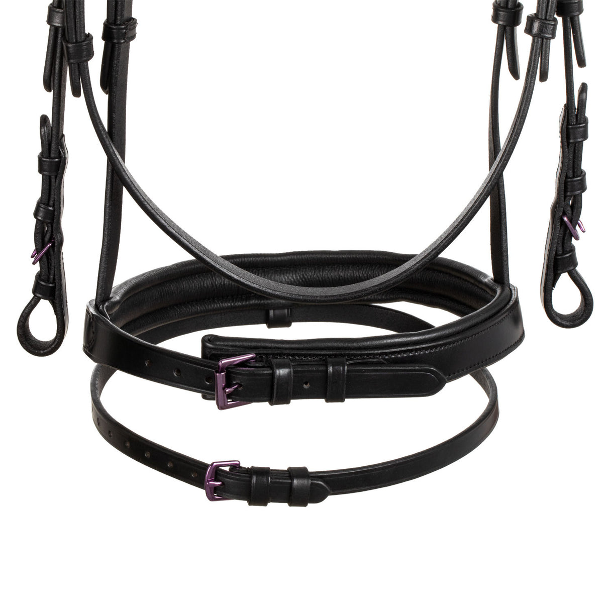 ANATOMIC LEATHER BRIDLE BLACK FITTING