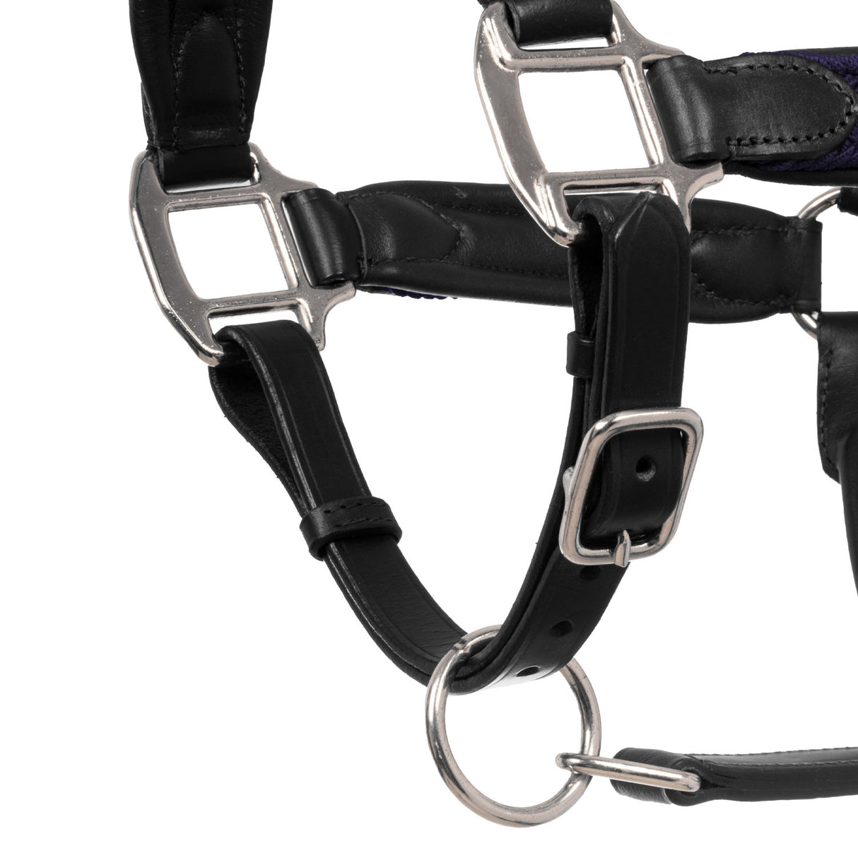 Leather halter with braided nylon inserts