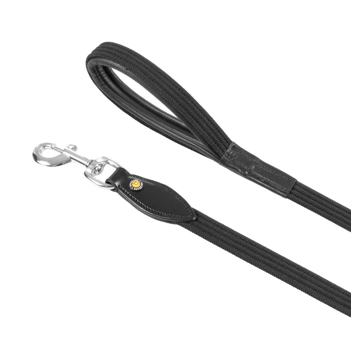 Web dog leash
