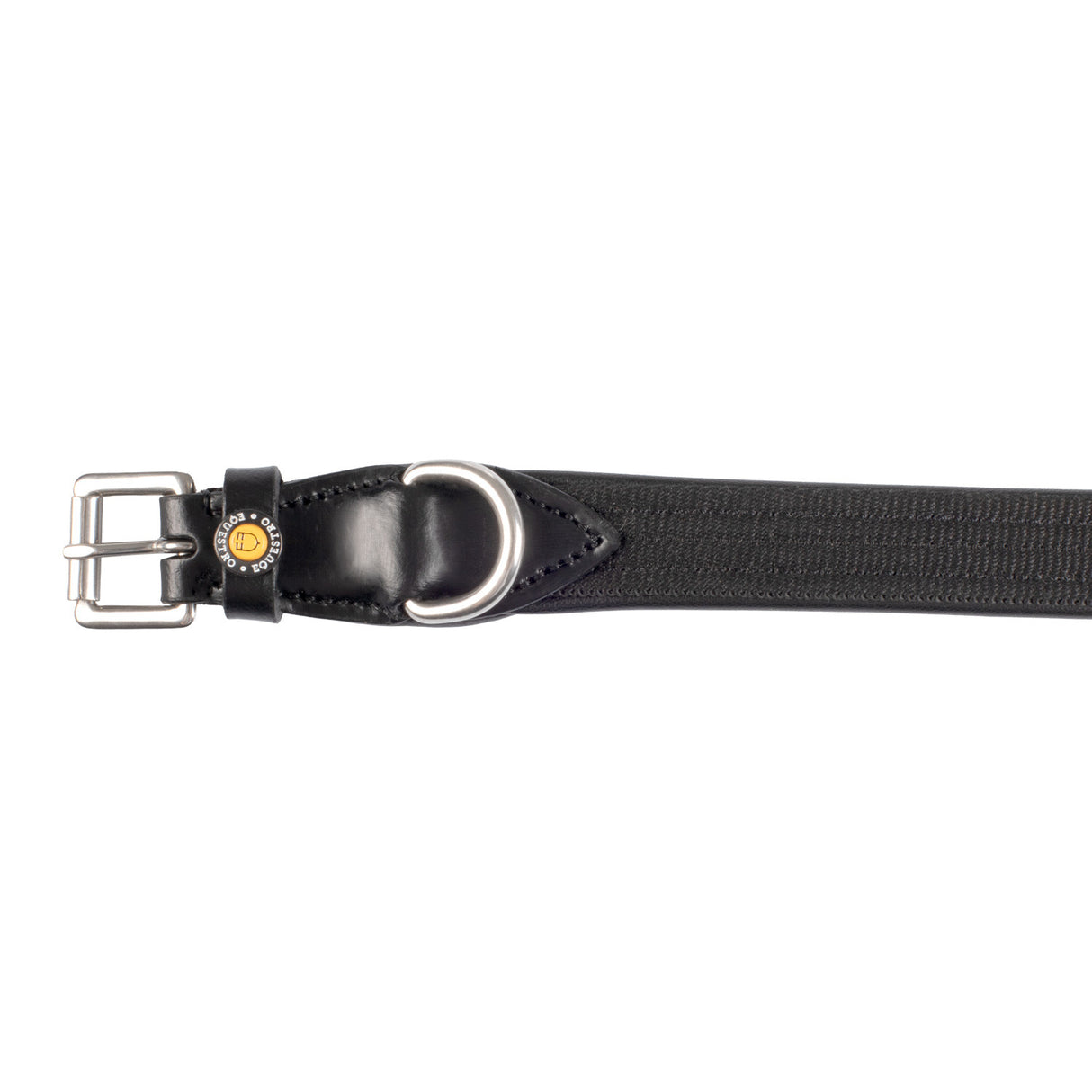 Web dog collar
