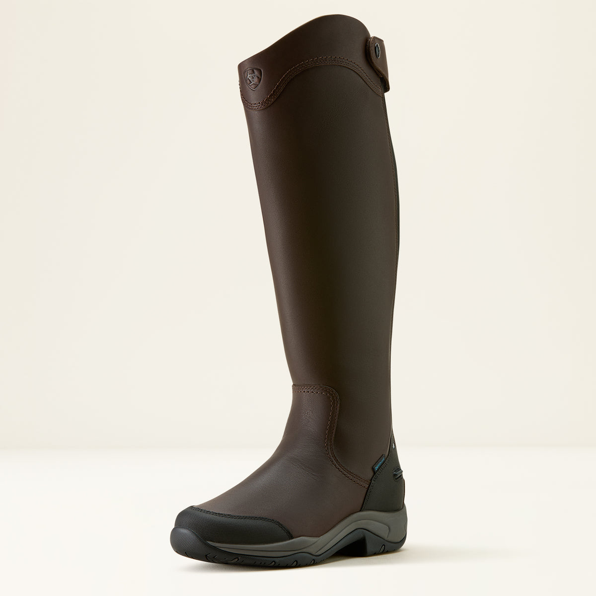 Ariat Women's Telluride Tall Waterproof Boot