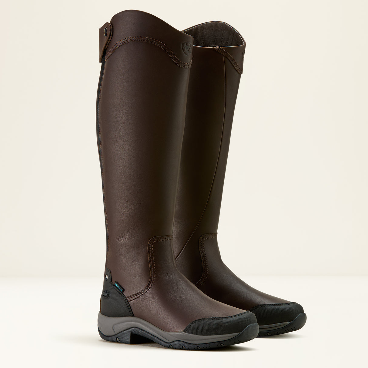 Ariat Women's Telluride Tall Waterproof Boot
