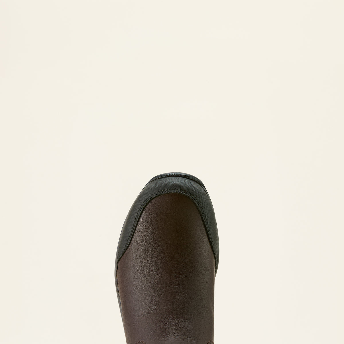Ariat Women's Telluride Tall Waterproof Boot