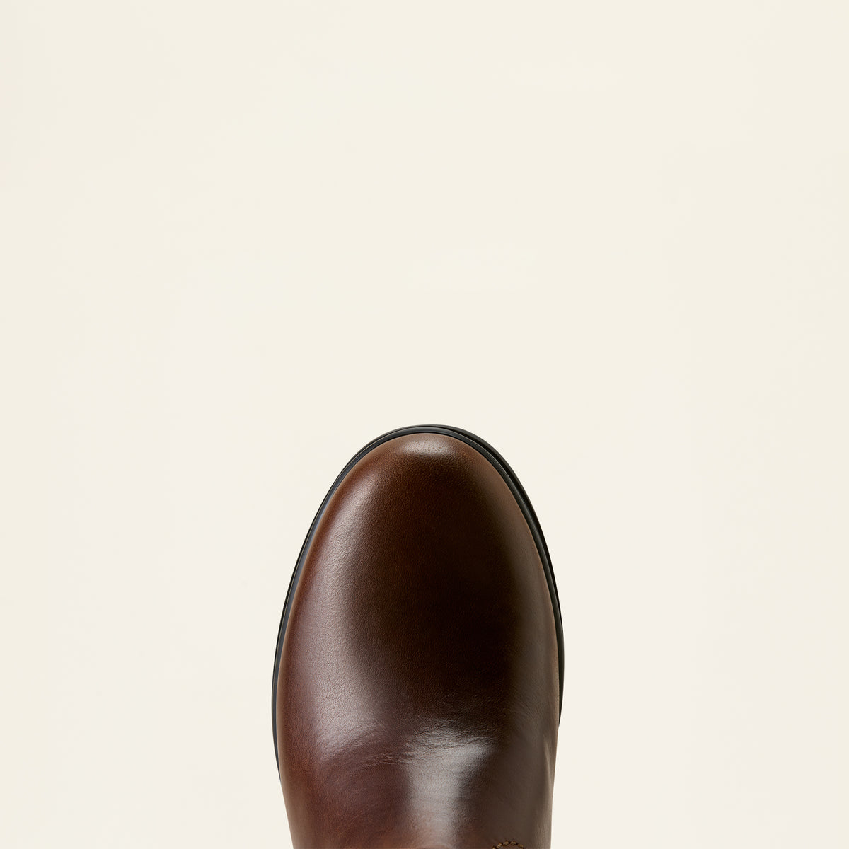 Ariat Women's Windsor Waterproof Boot