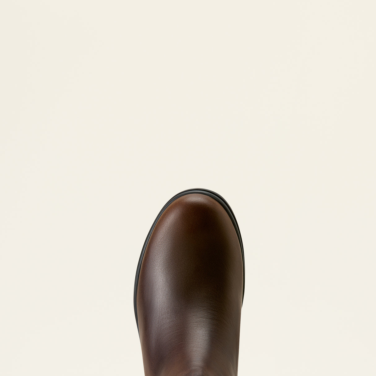 Ariat Women's Langley Waterproof Chelsea Boot