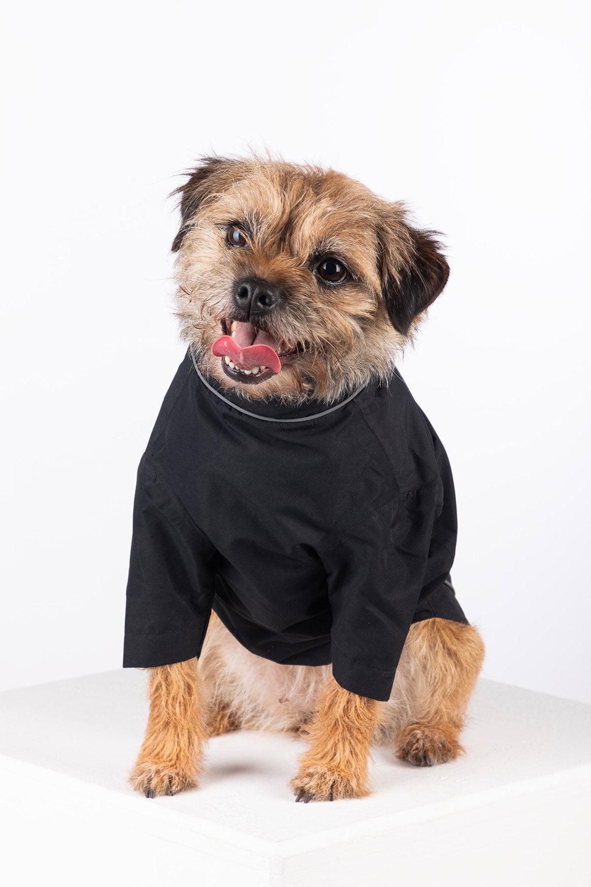 Rydale Dog Raincoats - Yapham