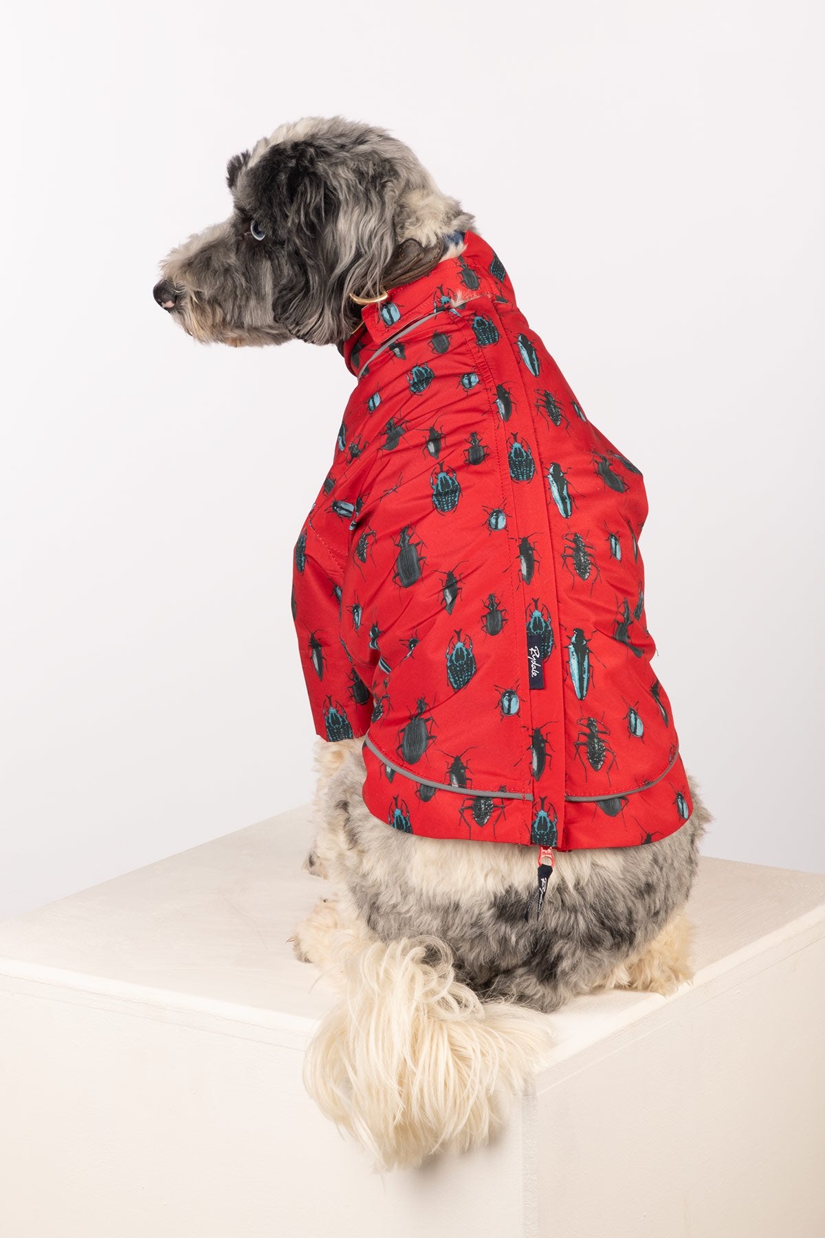 Rydale Patterned Dog Raincoats - Yapham