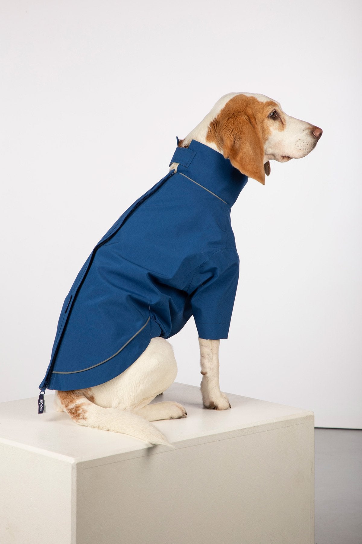 Rydale Dog Raincoats - Yapham