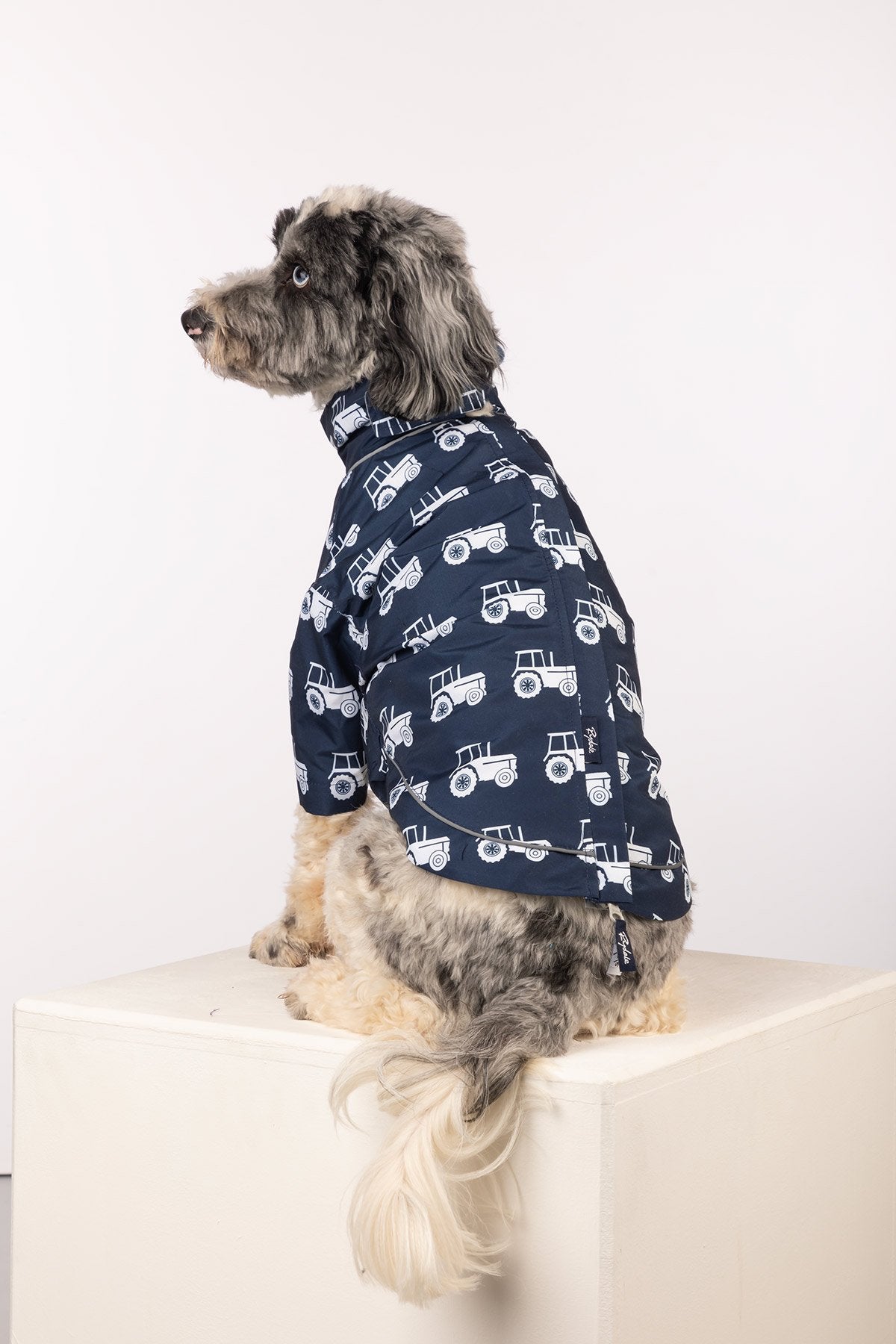 Rydale Patterned Dog Raincoats - Yapham