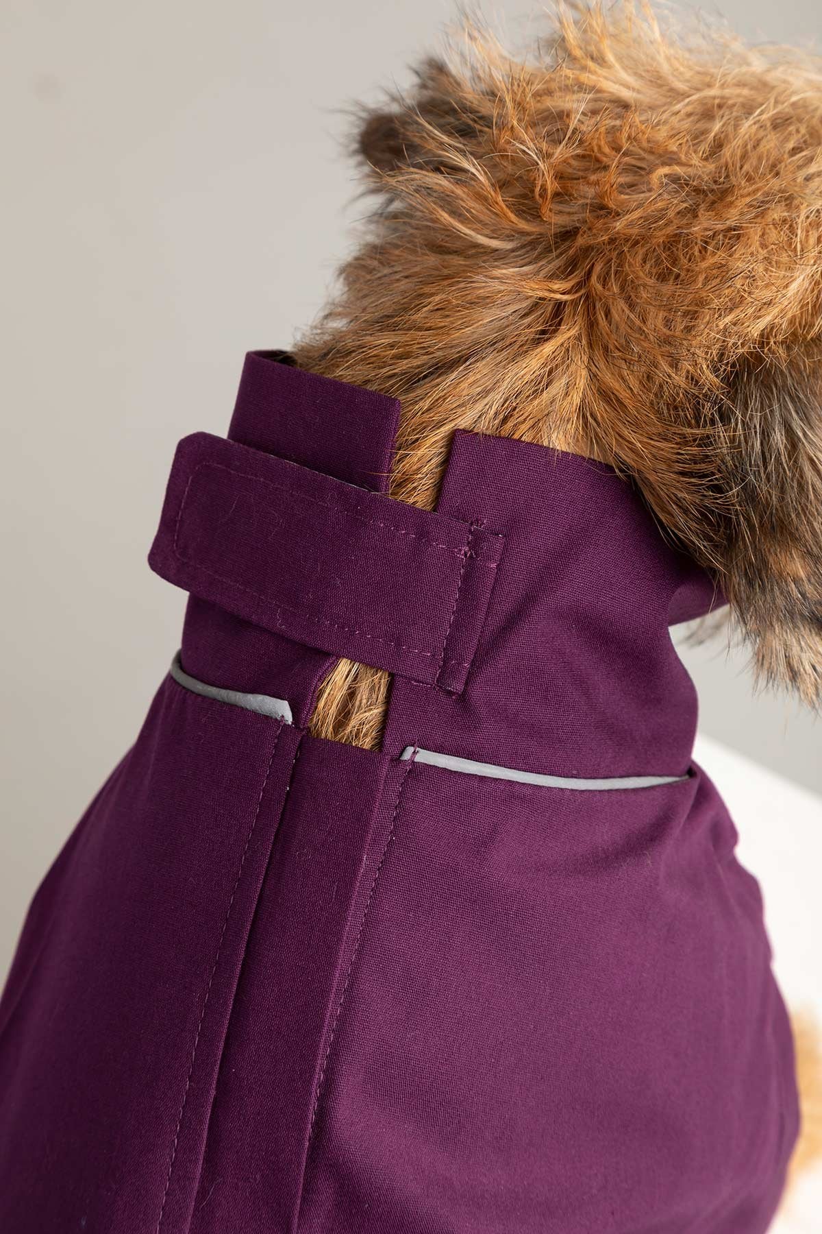 Rydale Dog Raincoats - Yapham