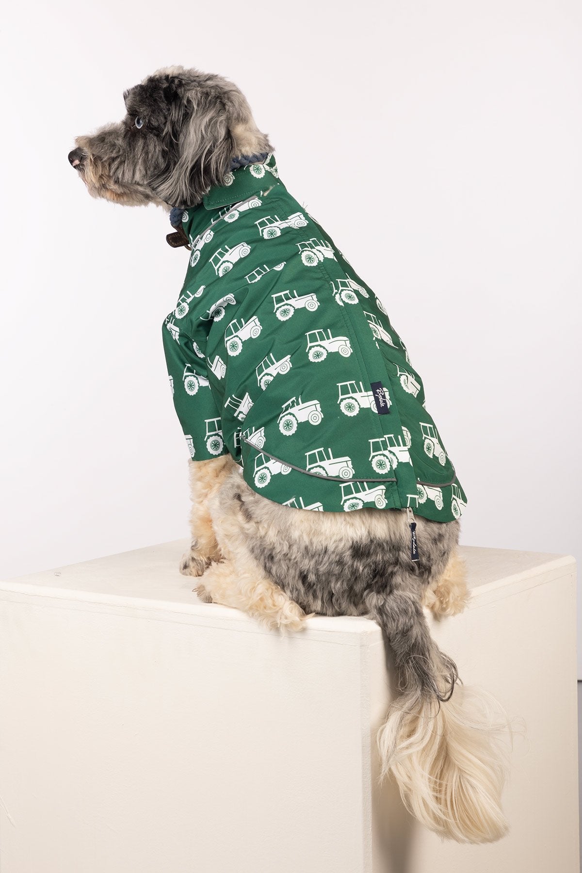 Rydale Patterned Dog Raincoats - Yapham
