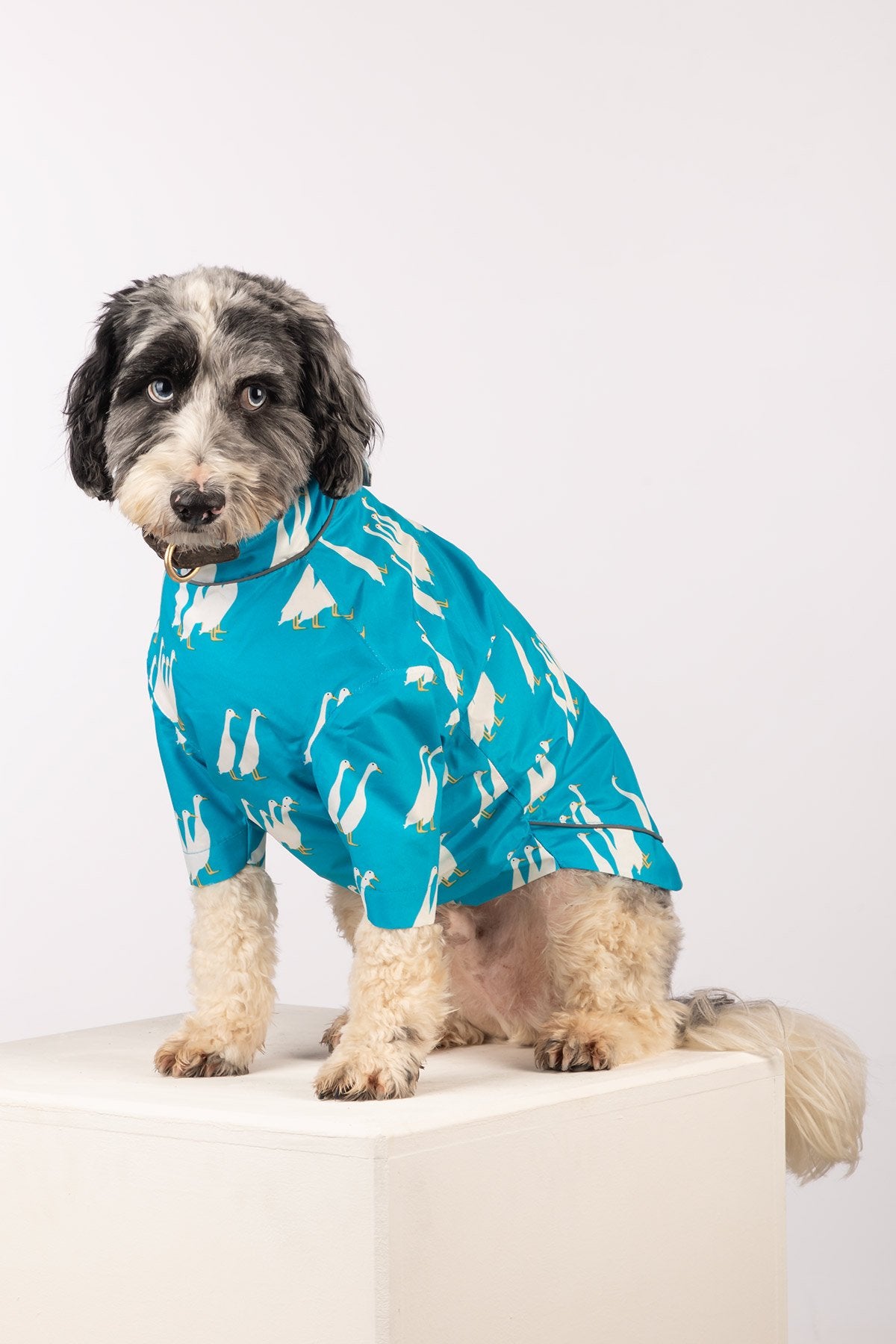 Rydale Patterned Dog Raincoats - Yapham