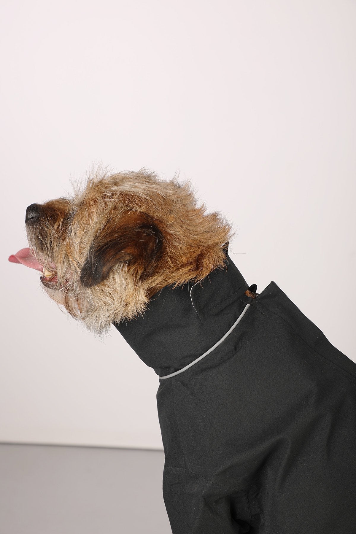 Rydale Dog Raincoats - Yapham