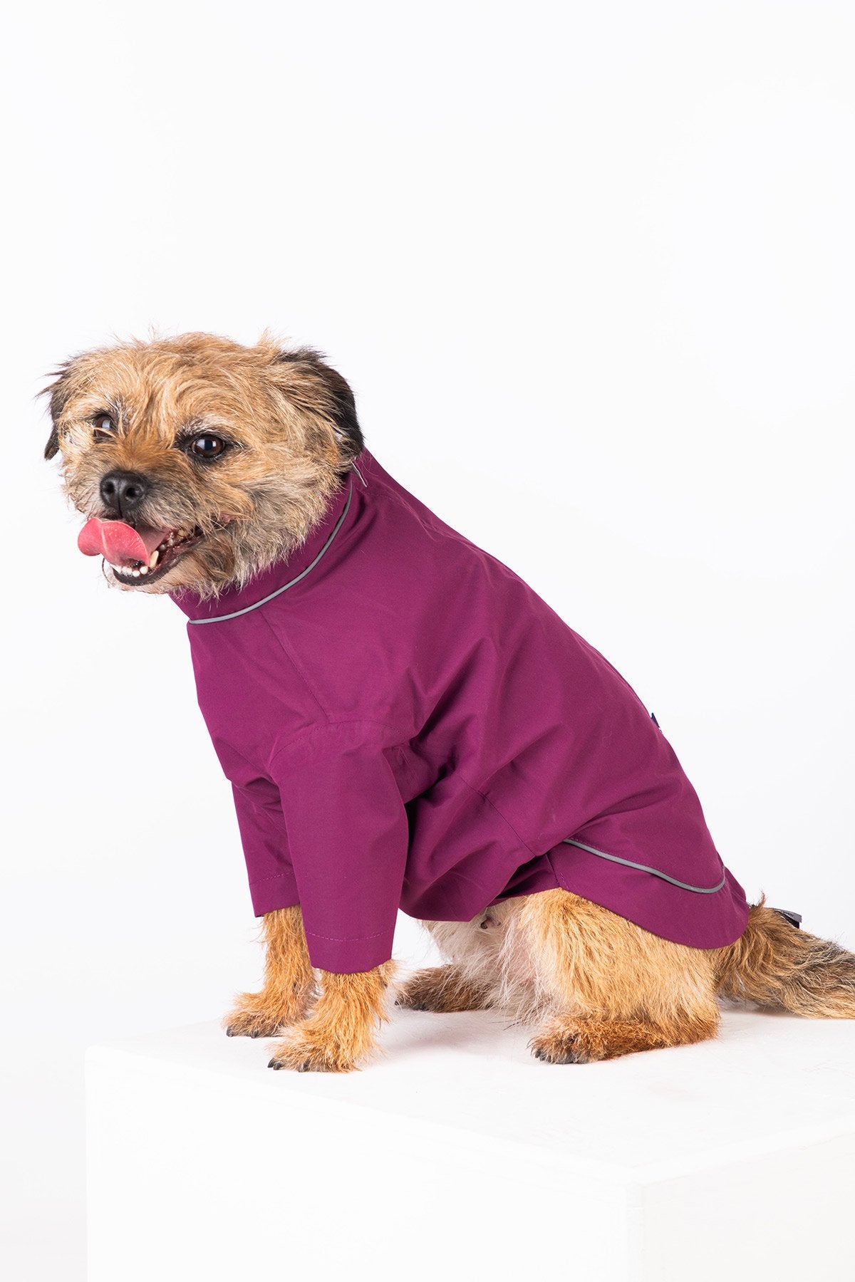 Rydale Dog Raincoats - Yapham