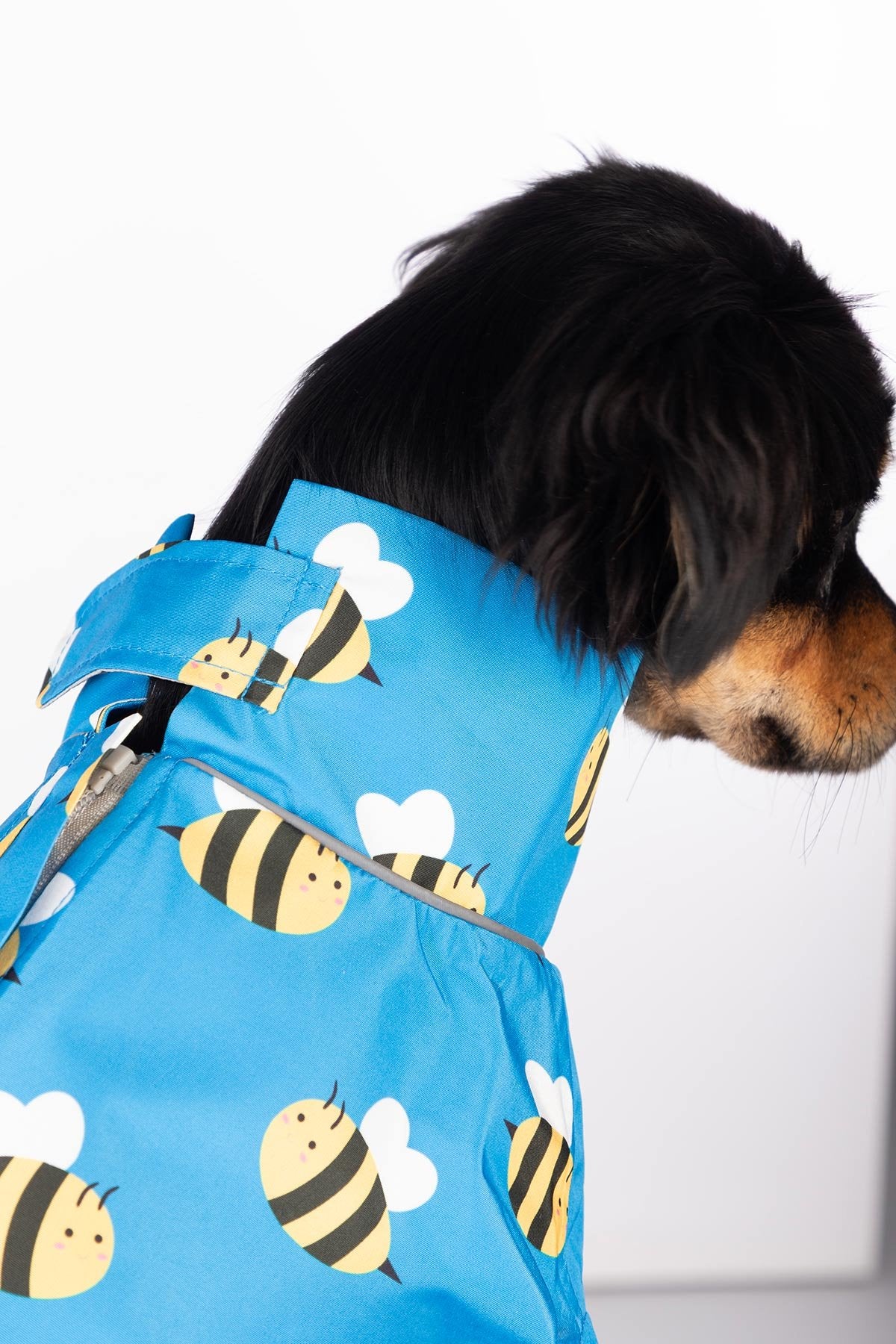 Rydale Patterned Dog Raincoats - Yapham